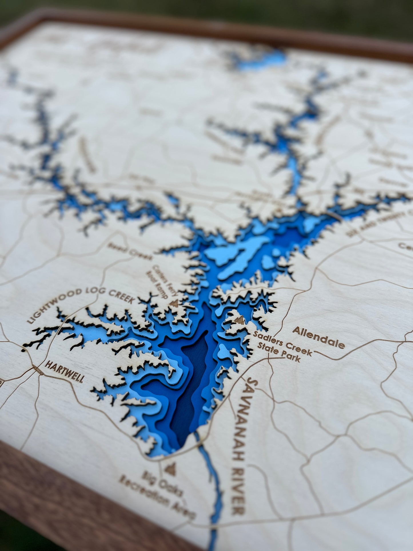 Lake Hartwell 3D Framed Picture Map, Wooden Engraved Map,